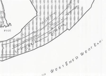 Illustration of West End Cayman Islands district map